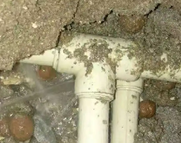 洪湖测漏水多少钱